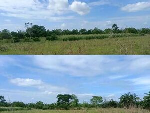 Farm lot in Carmen, Davao del Norte 