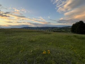 Sale of land in the village of Ljutice-Tometino Polje