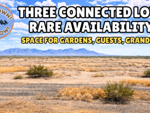 3 Adjacent Lots Totalling 1.50-Acres for Just $47/Down. Buy 