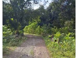 Farm lot in digos city 