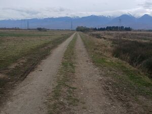LAND FOR SALE - ROMANIA | Cârțișoara | Near Bâlea