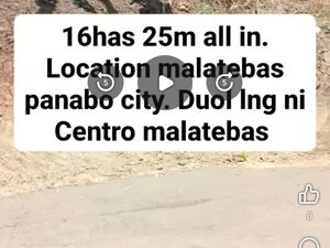 Farm lot in panabo city 