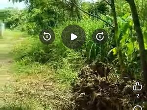 Farm lot in panabo city 