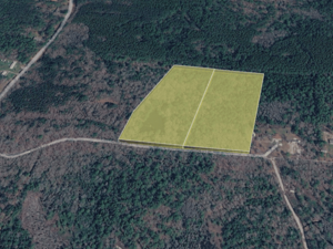 11.99 acres | 2-Lot Combo Land for Sale in Pineland, SC
