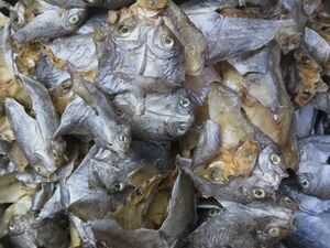 Dried fish in Tagum City 