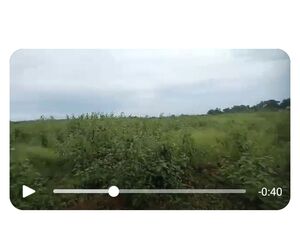 Farm lot in bukidnon 