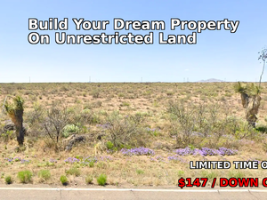 Buy 4 HUGE Adjacent Lot Just in $147/Down