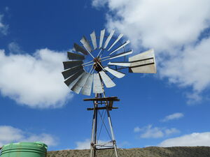 Mesmerising Expanse (593)