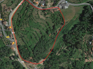 Historic Estate with 7 Hectares,and 5 Traditional Stone Hous