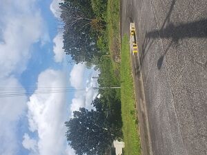 131sqm Corner Lot for Sale in Greenville Heights Consolacion