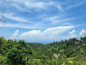 220sqm Overlooking Lot for Sale in Vista Grande Cebu