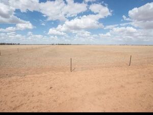 Farm lot in Australia 