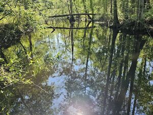 52 Acres on the LUMBER RIVER, Waterfront, LUMBERTON NC