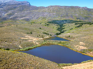 Farmer's Choice (479)