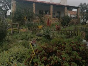 Portuguese Farmhouse with 6.2 Hectares – Pool, Land & More