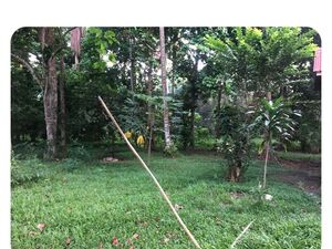 Commercial lot in Davao city 