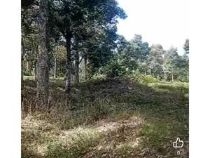 Farm lot in Davao city 