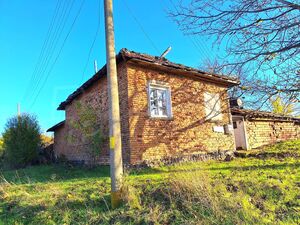 House with garden in village & mineral water in the Danub