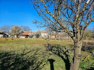 House with Great Potential and Large Plot 