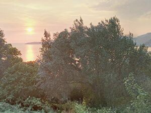 A plot with a view is for sale under Sveti Stefan