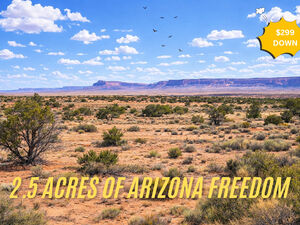 2.5 Acres Off-Grid Lot For Just $199/Down!