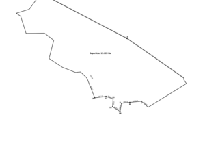 Agricultural and livestock land 13000 hectare in Paraguay