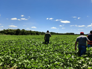 109-HECTARE AGRICULTURAL PROPERTY