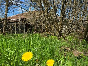 Danube Serenity Bulgarian Estate 5 bedrooms 2400sq.m garden