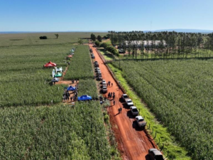  4300 has near Rio Verde Santa Rosa del Aguray