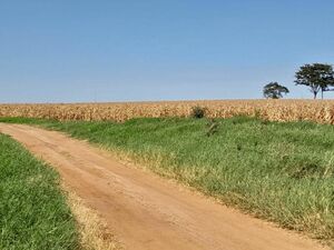 10,019-has Agricultural Ranch Department of Caaguazú