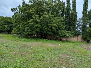 REGISTED 1 ACRES OF LAND FOR SALE@DZORWULU:$5M