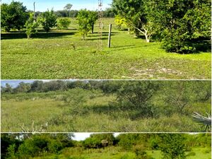 Farm / Ranch of 5100 has and 3000 units cattle Concepcion PY