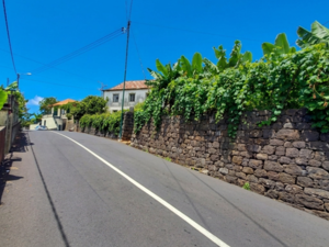 Land 1245m2, Amoreiras area, Arco da Calheta, Madeira Island