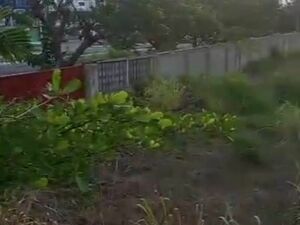 2 ACRES OF LAND FOR SALE@ DZORWULU,GHANA