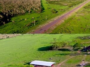 (12) Cattle farm of 7108 has Pres Hayes, Chaco, Paraguay