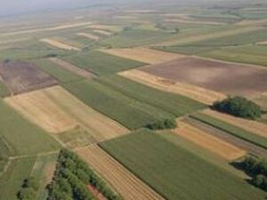 Two plots of land in Vozdovac-Belgrade for sale