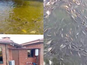 (10) Agro-livestock of 6000 has. in Chaco Paraguay