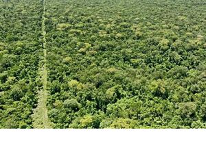 (7) Ranch of 91000 has. Paraguay