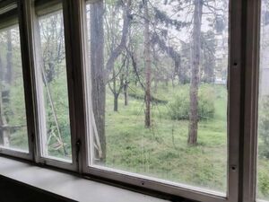 I am selling a one-room apartment in Brace Jerkovic-Belgrade