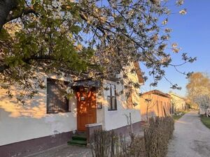 I am selling an apartment in Morović-Šid