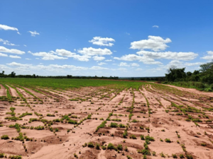  (1) agricultural property of 286 has Yhu, Caaguazu, PY