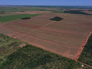 (15) 381 has Itanará, Canindeyú, Paraguay