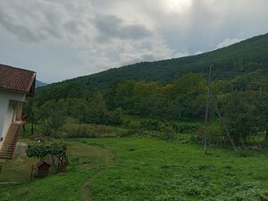 18,012 m² Land for Sale Near Ribnik River – Bosnia Nature & 