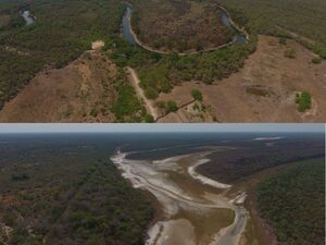 (4) Ranch of 3729 has. in Puerto Pinasco, Paraguay
