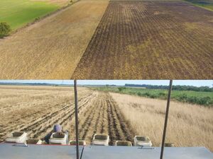 (3)Agroganaderia on 316 has. in Hohenau, Paraguay