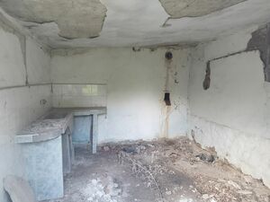 One-story house for sale in the village of Granitovo