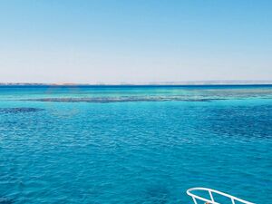 CAMUS 315 A , PRINCESS RESORT – 1 Bedroom Brivate Beach