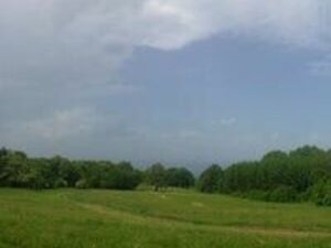 Plot of Land Nearby Mineral Springs