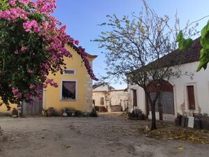 Historic Portuguese Estate with Courtyards, Barns, etc