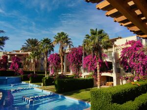 Luxury 2BR Apartment with Private Pool & Garden|Sahl Hashish